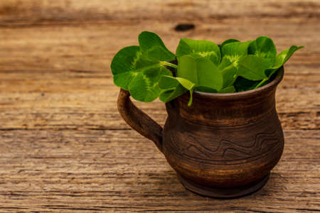 Fresh clover bouquet in ceramic cup. Good luck symbol, St.Patrick's Day concept. Old wooden boards backgroundの写真素材