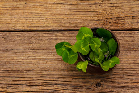 Fresh clover bouquet in ceramic cup. Good luck symbol, St.Patrick's Day concept. Old wooden boards backgroundの写真素材