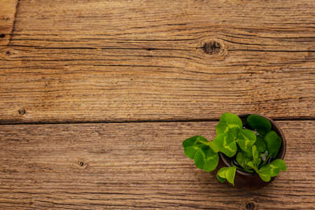Fresh clover bouquet in ceramic cup. Good luck symbol, St.Patrick's Day concept. Old wooden boards backgroundの写真素材