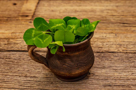 Fresh clover bouquet in ceramic cup. Good luck symbol, St.Patrick's Day concept. Old wooden boards backgroundの写真素材