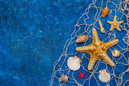 Seashells summer background. Lots of different seashells piled together, sea stars, fishing net. Navy blue nautical background, top viewの写真素材