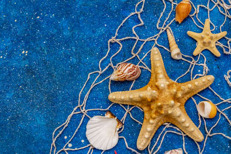 Seashells summer background. Lots of different seashells piled together, sea stars, fishing net. Navy blue nautical background, top viewの写真素材