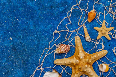 Seashells summer background. Lots of different seashells piled together, sea stars, fishing net. Navy blue nautical background, top viewの写真素材