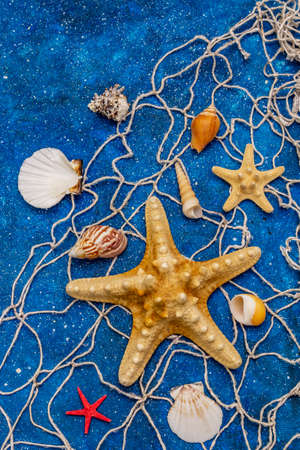 Seashells summer background. Lots of different seashells piled together, sea stars, fishing net. Navy blue nautical background, top viewの写真素材