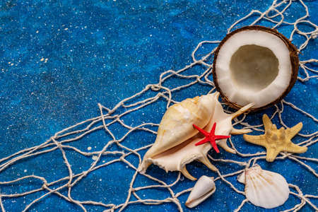 Seashells summer background. Lots of different seashells piled together, sea stars, fishing net. Navy blue nautical backgroundの写真素材