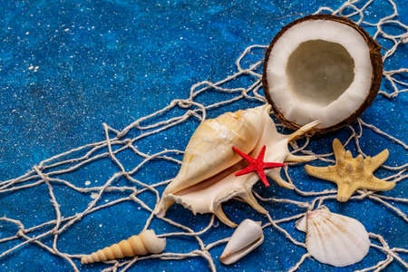 Seashells summer background. Lots of different seashells piled together, sea stars, fishing net. Navy blue nautical backgroundの写真素材