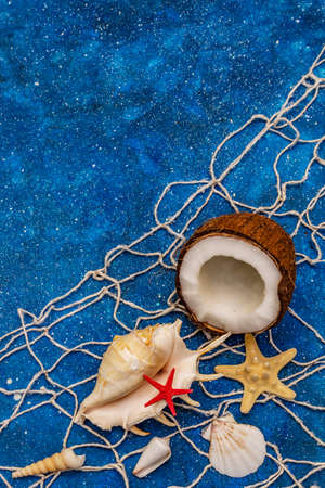 Seashells summer background. Lots of different seashells piled together, sea stars, fishing net. Navy blue nautical background, top viewの写真素材