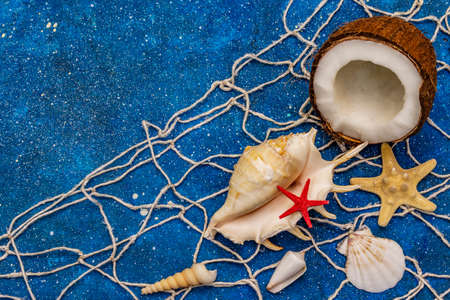 Seashells summer background. Lots of different seashells piled together, sea stars, fishing net. Navy blue nautical background, top viewの写真素材