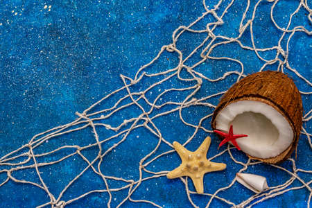 Seashells summer background. Lots of different seashells piled together, sea stars, fishing net. Navy blue nautical backgroundの写真素材