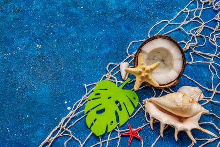 Seashells summer background. Lots of different seashells piled together, sea stars, fishing net. Navy blue nautical backgroundの写真素材
