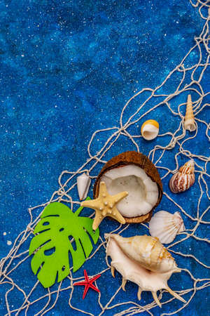 Seashells summer background. Lots of different seashells piled together, sea stars, fishing net. Navy blue nautical background, top viewの写真素材
