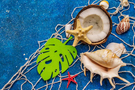 Seashells summer background. Lots of different seashells piled together, sea stars, fishing net. Navy blue nautical backgroundの写真素材