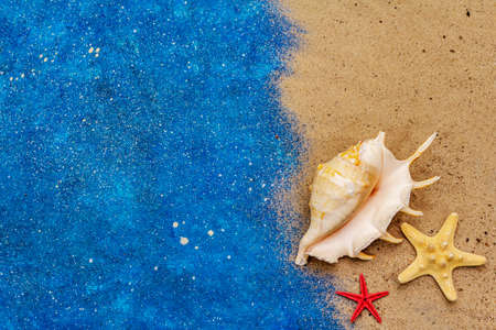 Seashells summer background. Lots of different seashells piled together, sea star. Navy blue nautical background, top viewの写真素材