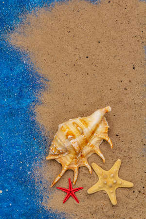 Seashells summer background. Lots of different seashells piled together, sea star. Navy blue nautical background, top viewの写真素材