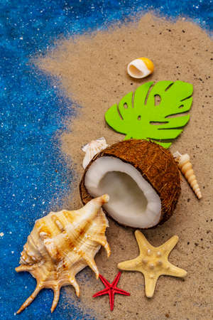Seashells summer background. Lots of different seashells piled together, sea star. Navy blue nautical background, top viewの写真素材