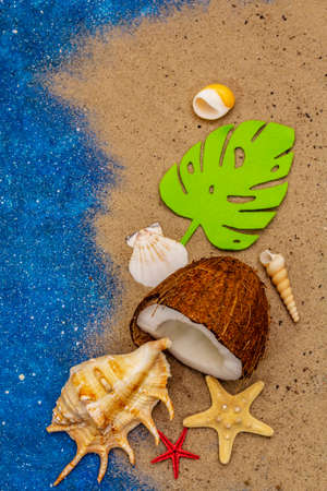 Seashells summer background. Lots of different seashells piled together, sea star. Navy blue nautical background, top viewの写真素材
