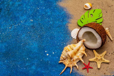 Seashells summer background. Lots of different seashells piled together, sea star. Navy blue nautical background, top viewの写真素材