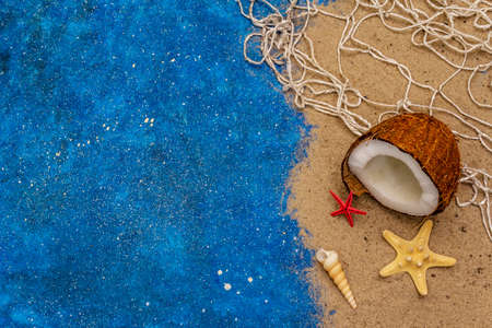 Seashells summer background. Lots of different seashells piled together, sea star. Navy blue nautical backgroundの写真素材