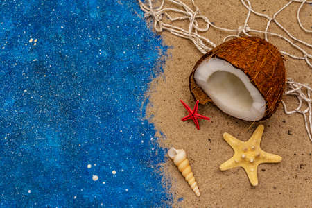 Seashells summer background. Lots of different seashells piled together, sea star. Navy blue nautical backgroundの写真素材