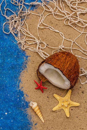 Seashells summer background. Lots of different seashells piled together, sea star. Navy blue nautical backgroundの写真素材