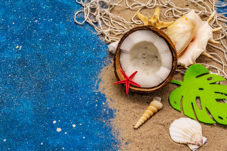 Seashells summer background. Lots of different seashells piled together, sea star. Navy blue nautical backgroundの写真素材