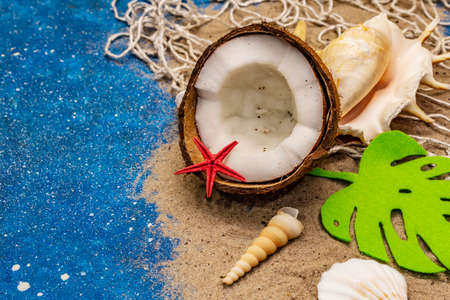 Seashells summer background. Lots of different seashells piled together, sea star. Navy blue nautical backgroundの写真素材