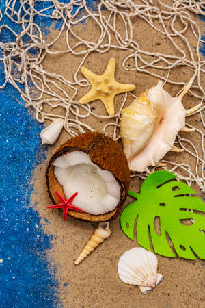 Seashells summer background. Lots of different seashells piled together, sea star. Navy blue nautical backgroundの写真素材