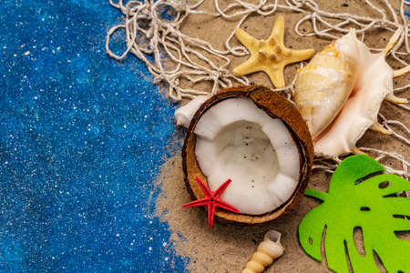 Seashells summer background. Lots of different seashells piled together, sea star. Navy blue nautical backgroundの写真素材