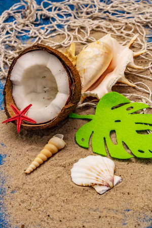 Seashells summer background. Lots of different seashells piled together, sea star. Navy blue nautical backgroundの写真素材
