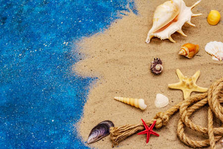 Seashells summer background. Lots of different seashells piled together, sea star. Navy blue nautical backgroundの写真素材