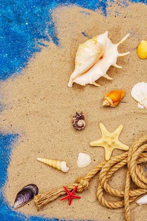 Seashells summer background. Lots of different seashells piled together, sea star. Navy blue nautical backgroundの写真素材
