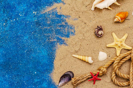 Seashells summer background. Lots of different seashells piled together, sea star. Navy blue nautical backgroundの写真素材