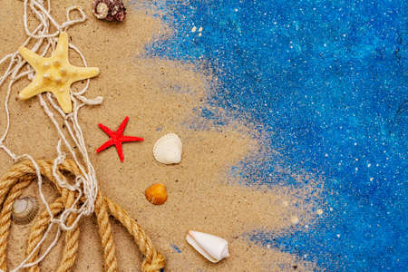 Seashells summer background. Lots of different seashells piled together, sea star. Navy blue nautical backgroundの写真素材
