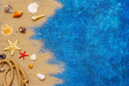 Seashells summer background. Lots of different seashells piled together, sea star. Navy blue nautical backgroundの写真素材