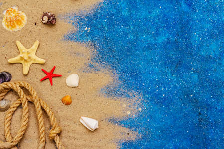 Seashells summer background. Lots of different seashells piled together, sea star. Navy blue nautical backgroundの写真素材