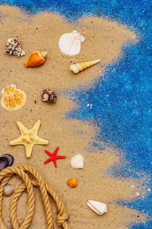 Seashells summer background. Lots of different seashells piled together, sea star. Navy blue...