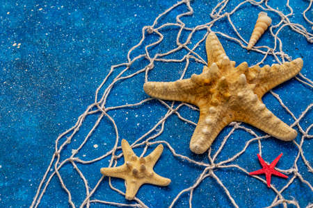 Seashells summer background. Lots of different seashells piled together, sea stars, fishing net. Navy blue nautical backgroundの写真素材