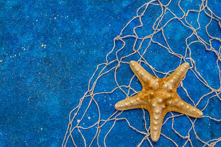 Seashells summer background. Lots of different seashells piled together, sea stars, fishing net. Navy blue nautical background, top viewの写真素材