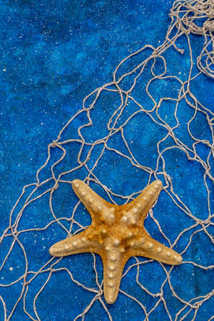 Seashells summer background. Lots of different seashells piled together, sea stars, fishing net. Navy blue nautical background, top viewの写真素材