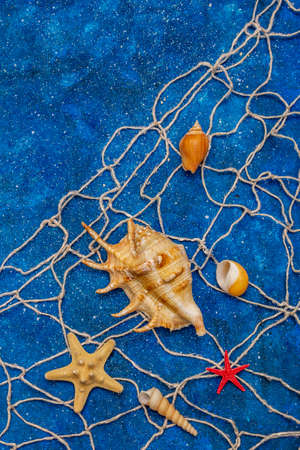Seashells summer background. Lots of different seashells piled together, sea stars, fishing net. Navy blue nautical background, top viewの写真素材