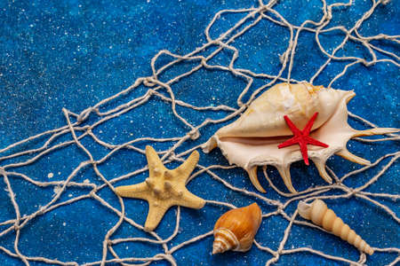 Seashells summer background. Lots of different seashells piled together, sea stars, fishing net. Navy blue nautical backgroundの写真素材