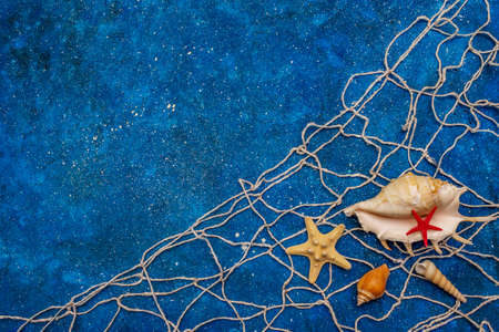 Seashells summer background. Lots of different seashells piled together, sea stars, fishing net. Navy blue nautical background, top viewの写真素材