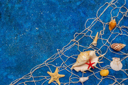 Seashells summer background. Lots of different seashells piled together, sea stars, fishing net. Navy blue nautical background, top viewの写真素材