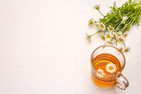 Chamomile tea. Fresh flowers, summer hot drink concept. Alternative medicine, lifestyle. White putty background, copy spaceの写真素材