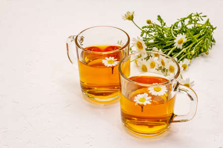 Chamomile tea. Fresh flowers, summer hot drink concept. Alternative medicine, lifestyle. White putty background, copy spaceの写真素材