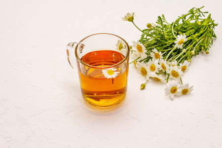 Chamomile tea. Fresh flowers, summer hot drink concept. Alternative medicine, lifestyle. White putty background, copy spaceの写真素材