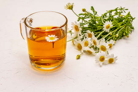 Chamomile tea. Fresh flowers, summer hot drink concept. Alternative medicine, lifestyle. White putty background, copy spaceの写真素材