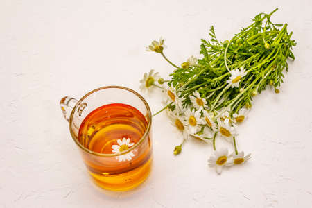 Chamomile tea. Fresh flowers, summer hot drink concept. Alternative medicine, lifestyle. White putty background, copy spaceの写真素材