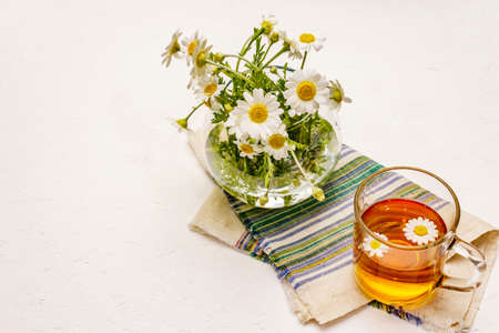 Chamomile tea. Fresh flowers, summer hot drink concept. Alternative medicine, lifestyle. White putty background, copy spaceの写真素材