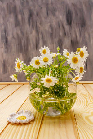 Bouquet of chamomile. Fresh flowers, crochet pattern. Alternative medicine, lifestyle.Wooden boards background, cardの写真素材